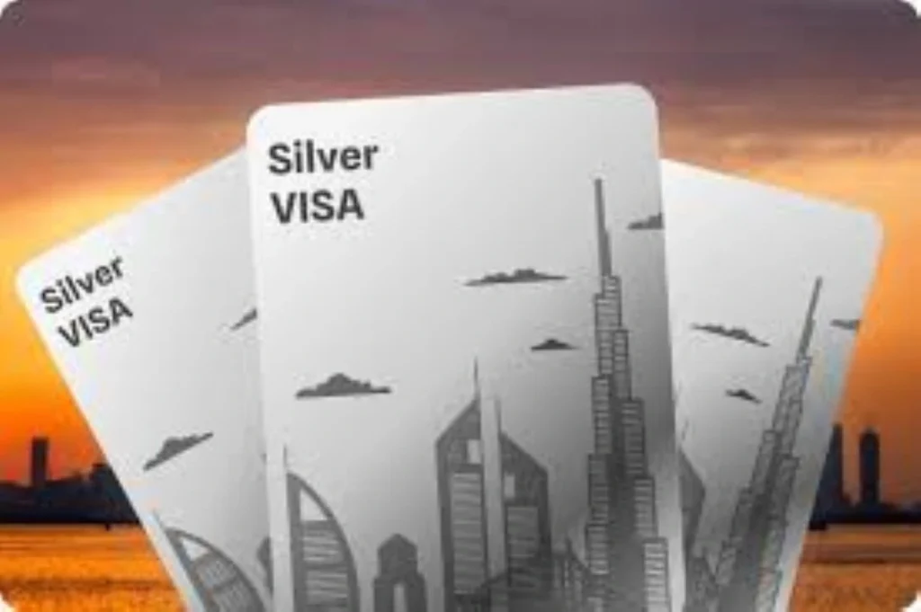 Silver Visa